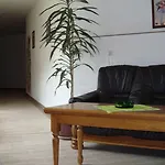Krakonoš